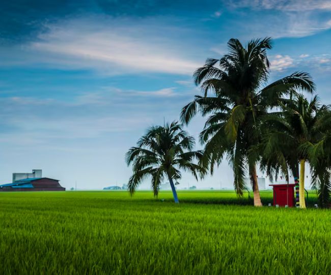 Kerala Finland of India