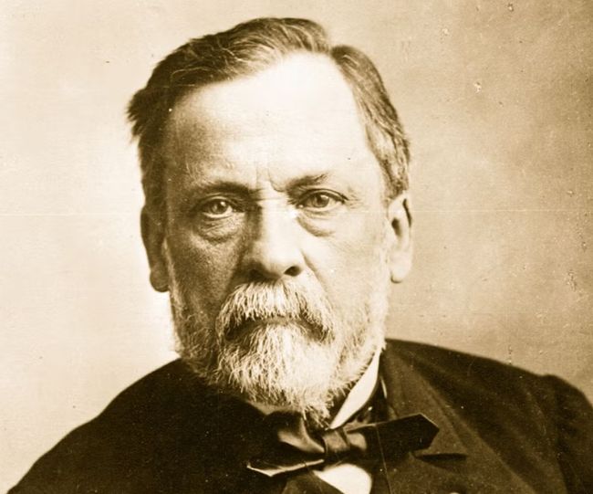 Louis Pasteur birthday