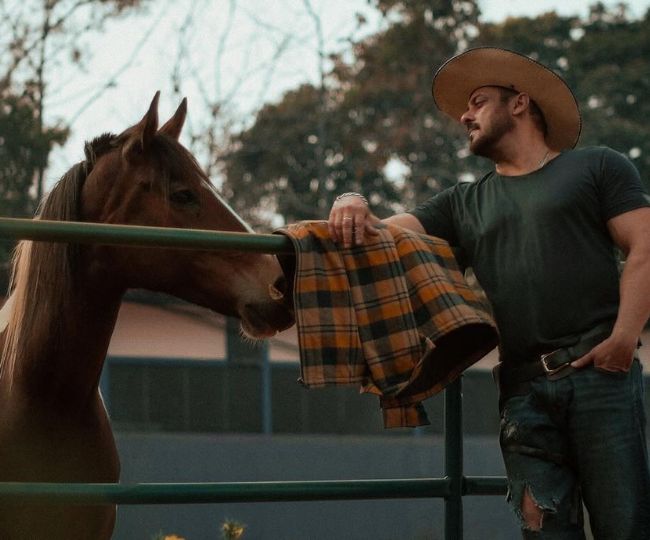 Special shelter for animals at Panvel farmhouse