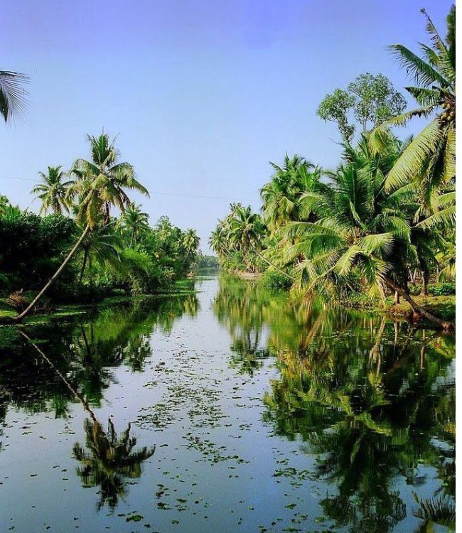 Alleppey
