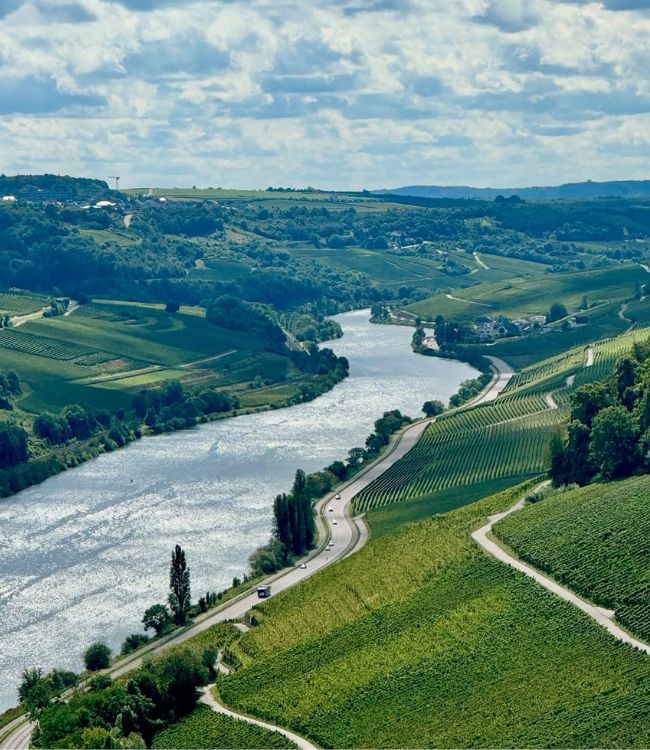 Moselle Valley (2)