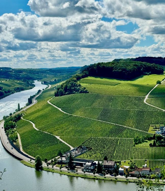Moselle Valley (5)