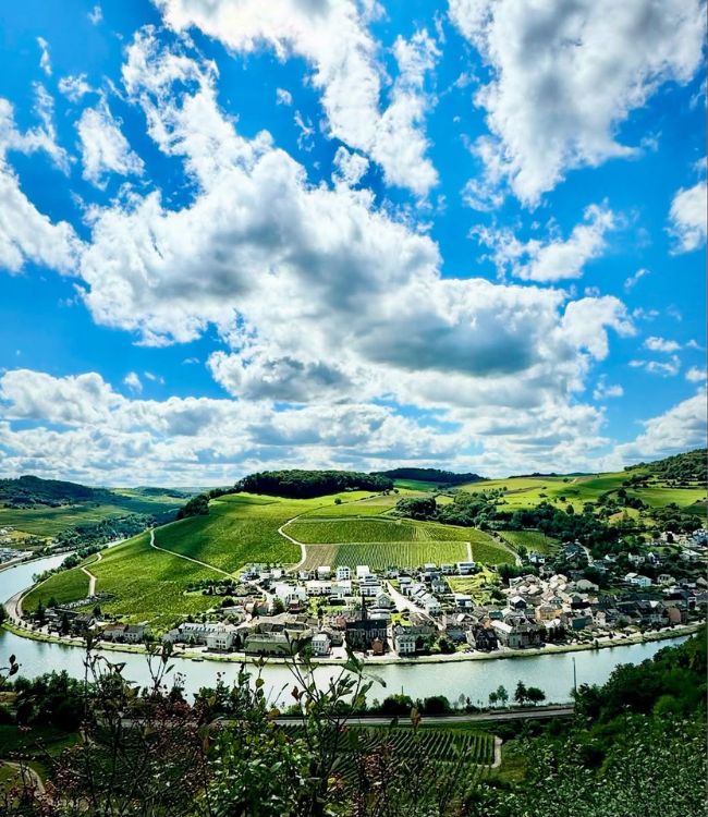 Moselle Valley (6)