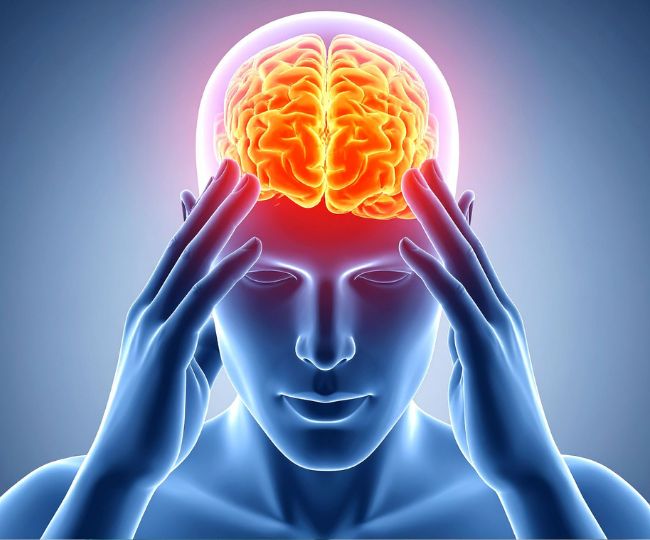 peanut good for brain