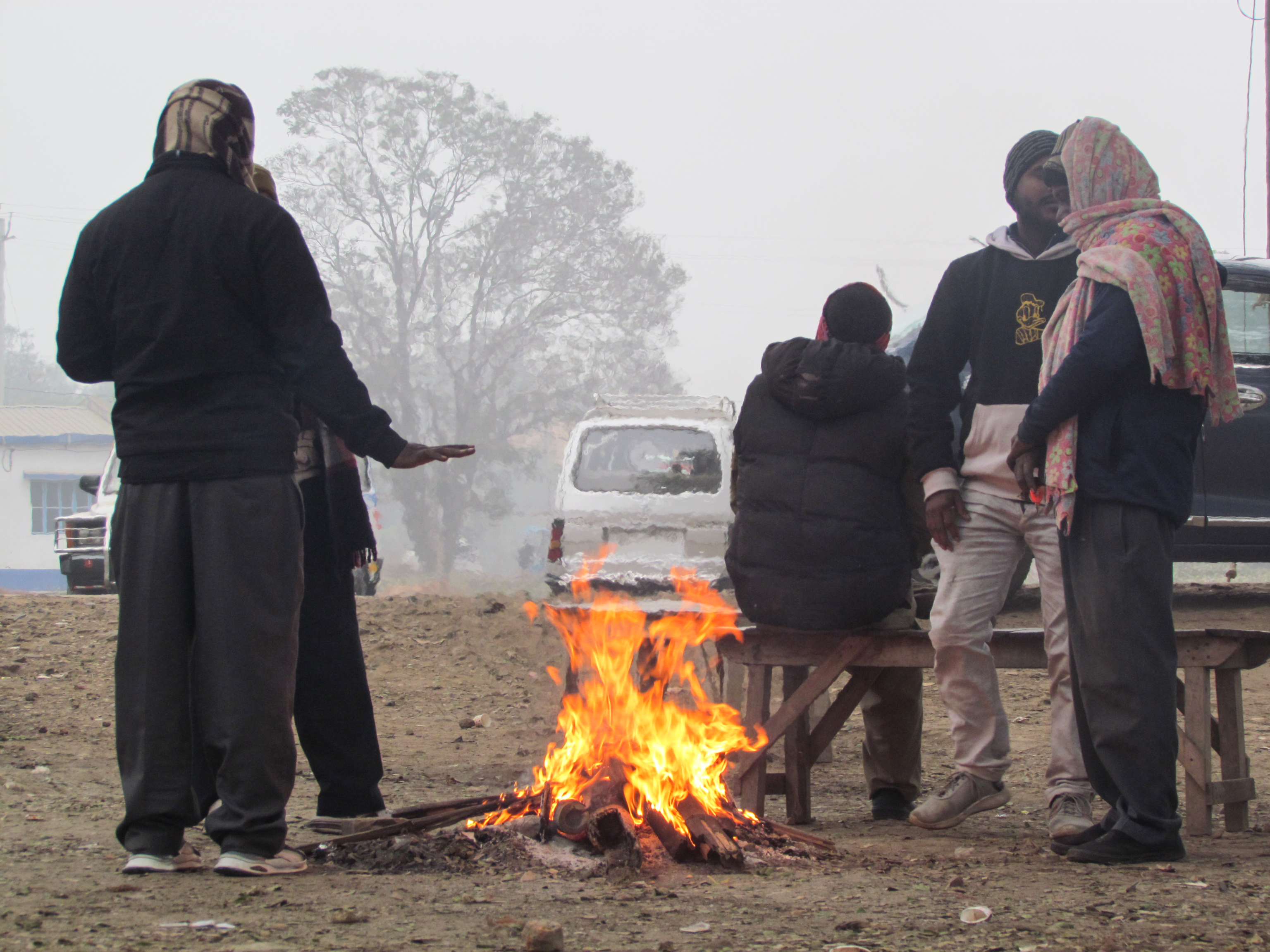 ANI_20251229081_49190452