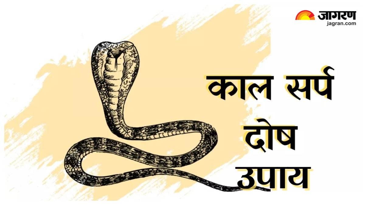 kaal_sarp_dosh_upay i