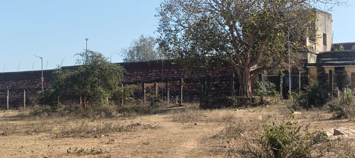 WhatsApp Image 2025-12-31 at 10.44.35 AM