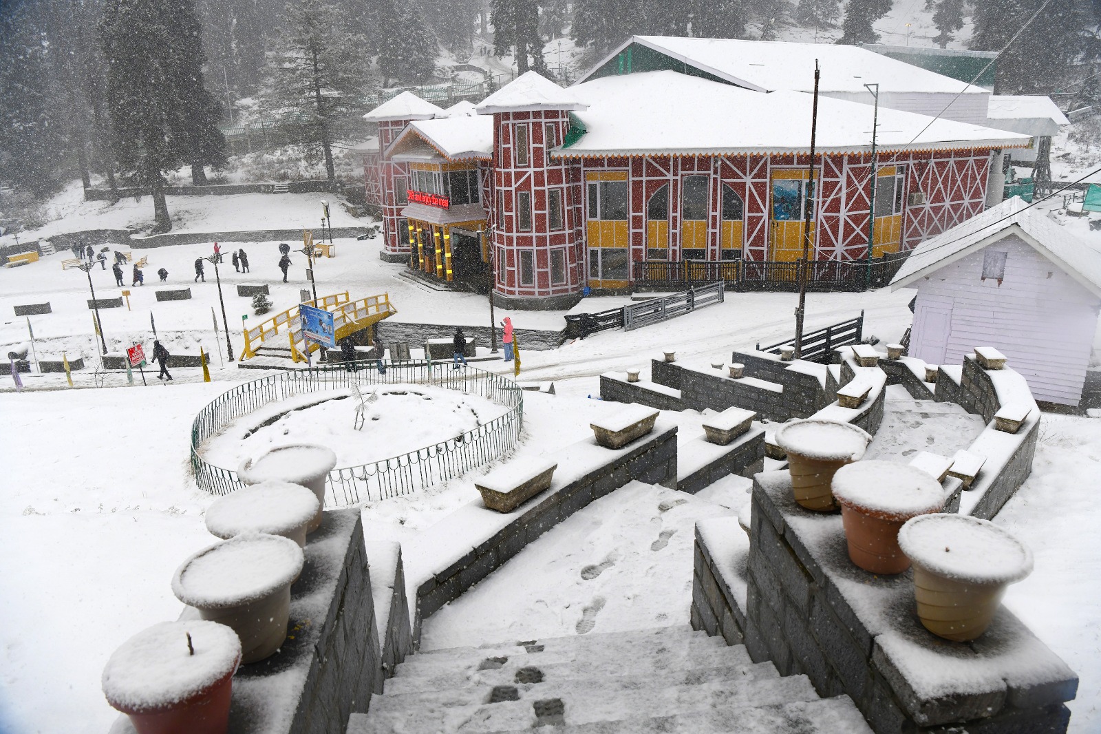 WhatsApp Image 2025-12-31 at 2.46.09 PM