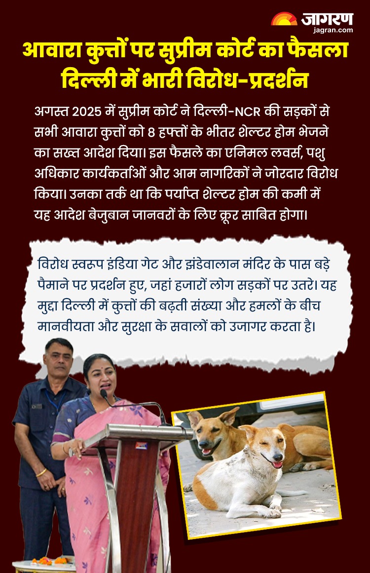 WhatsApp Image 2025-12-31 at 5.58.16 PM