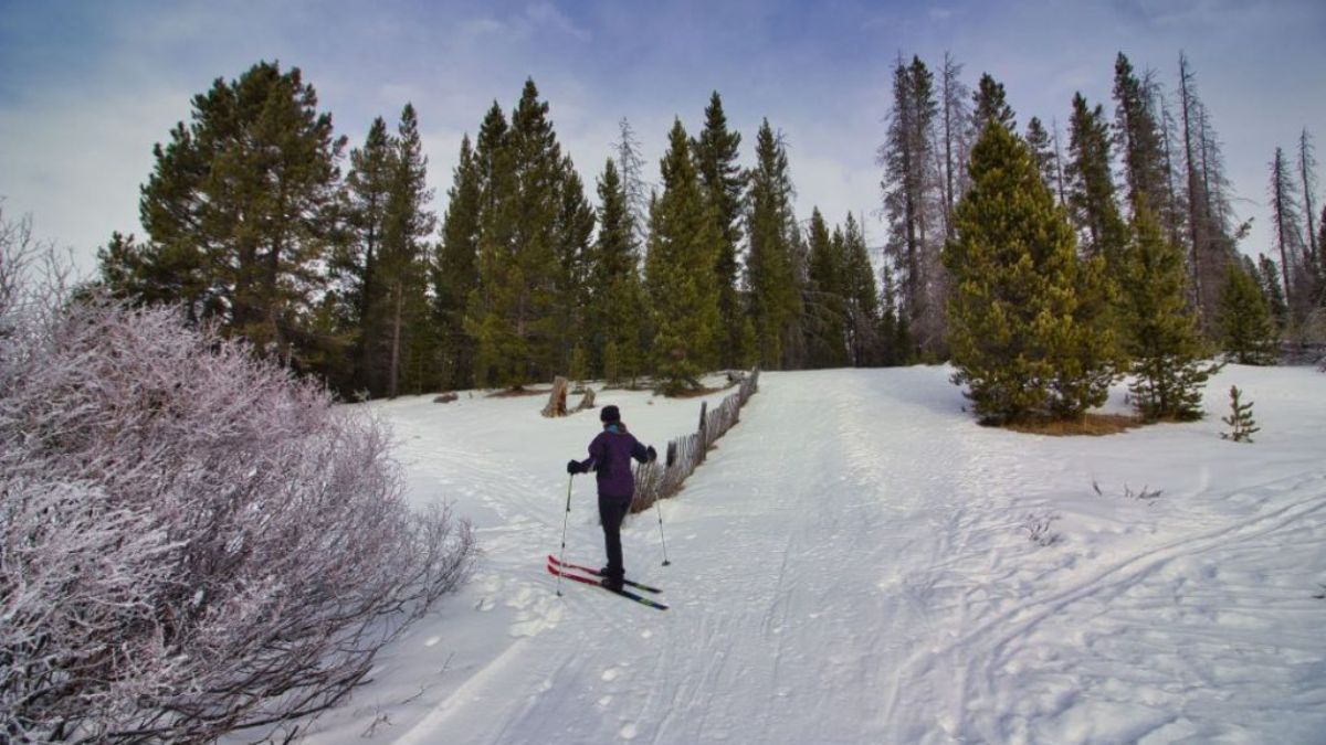 President Murmu Worship (53)