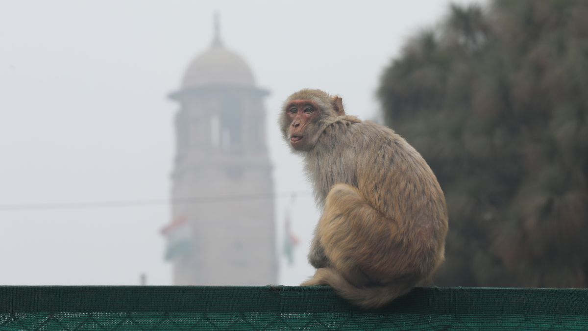 Weather UpdaukySFbn (3)