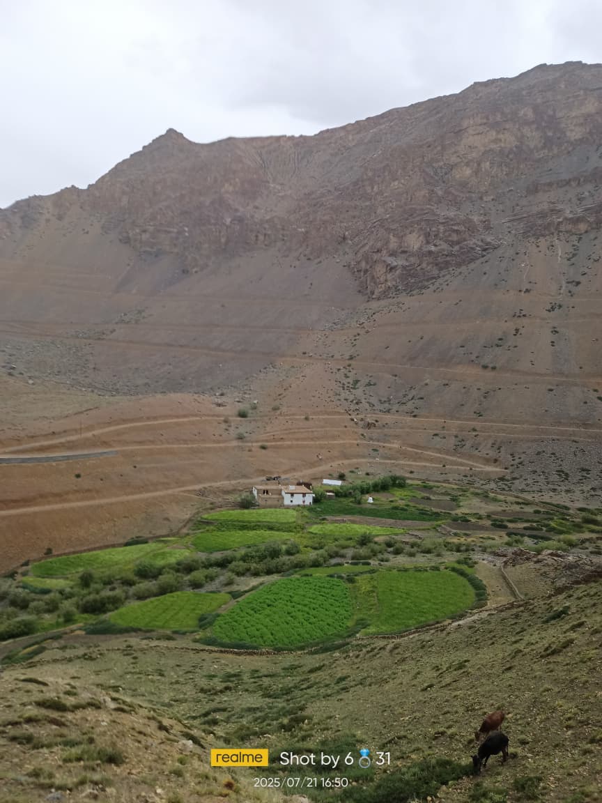 WhatsApp Image 2026-01-01 at 10.00.14 PM