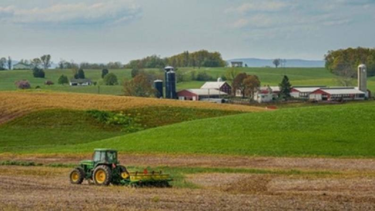 Zero Immigration farming in US inside