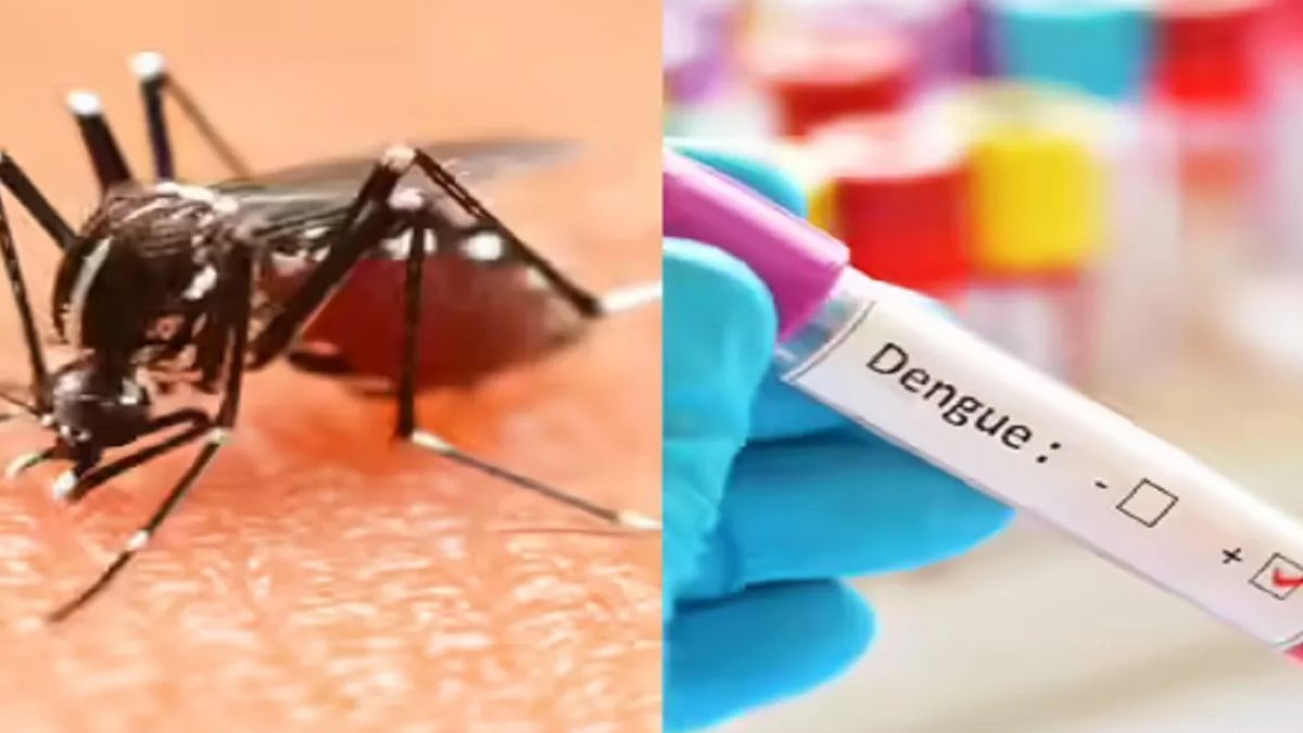 Delhi News Update (20)