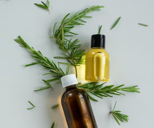 rosemary for hairfall