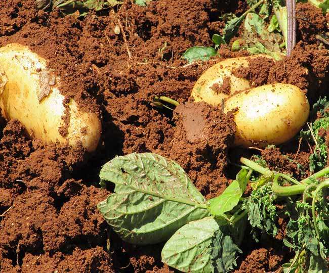 12_11_2020-article_2_image_1_21056913