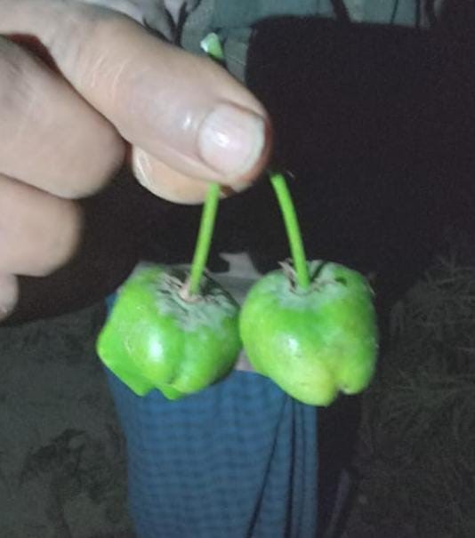 05VNC_M_128_05012026_516