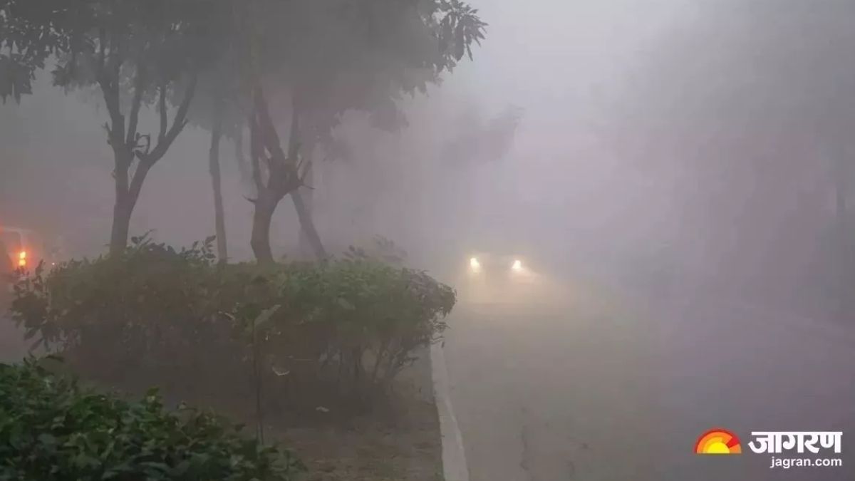 Weather Forecast in india