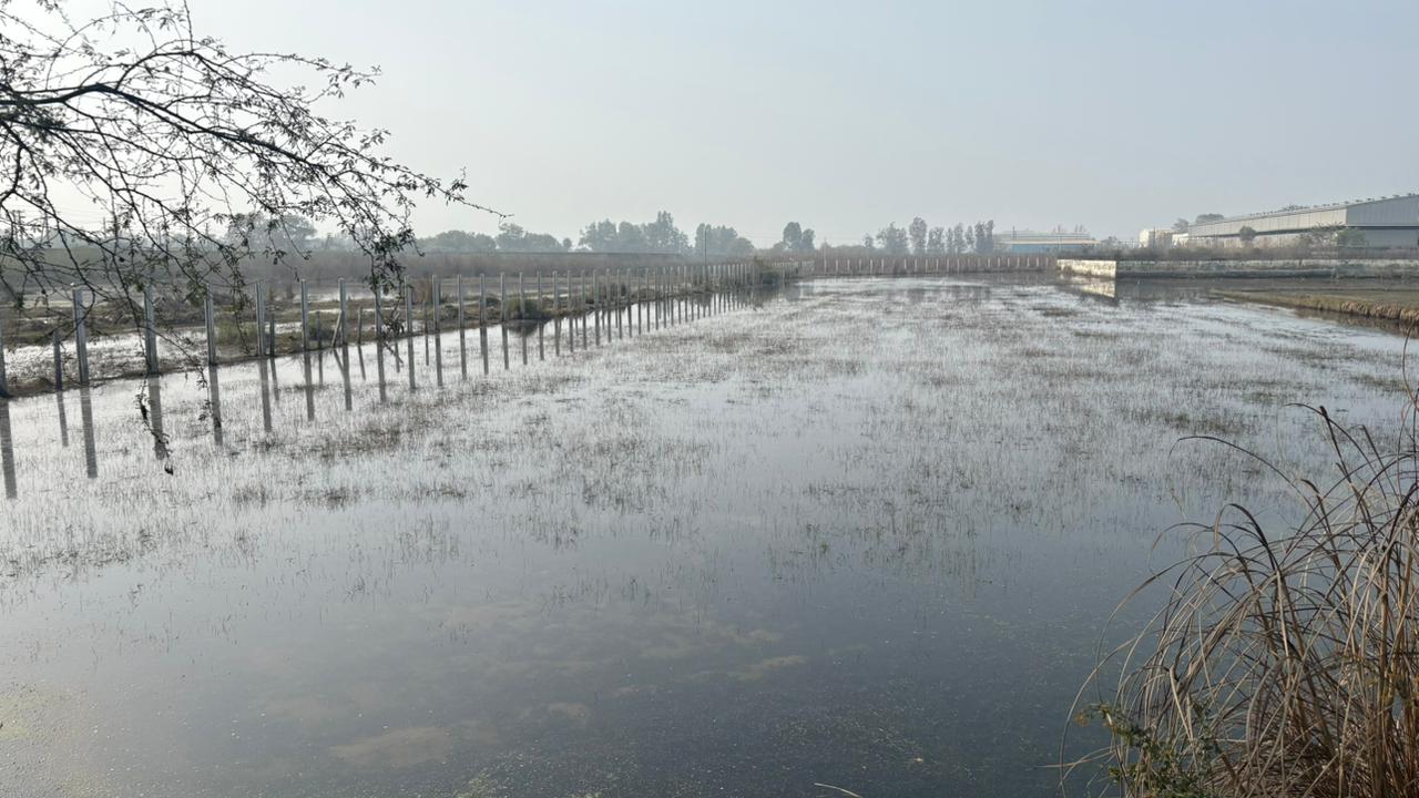 WhatsApp Image 2026-01-05 at 17.45.01