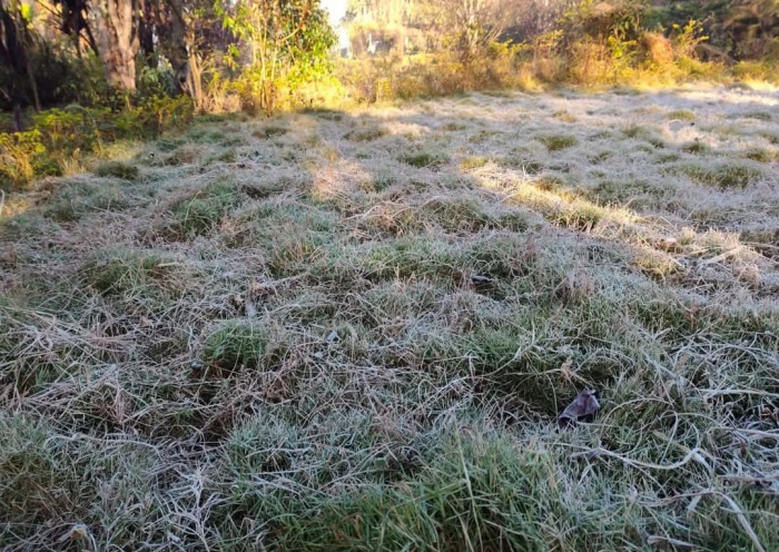 amkntk dew ice 21548