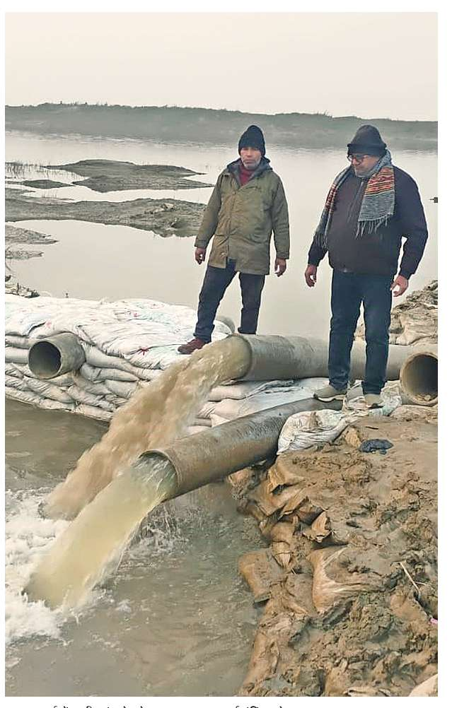 Pani