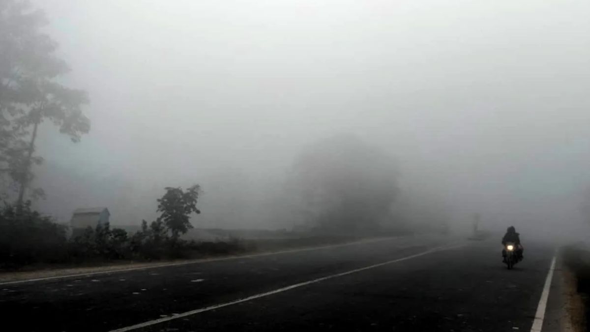 fogg (6)