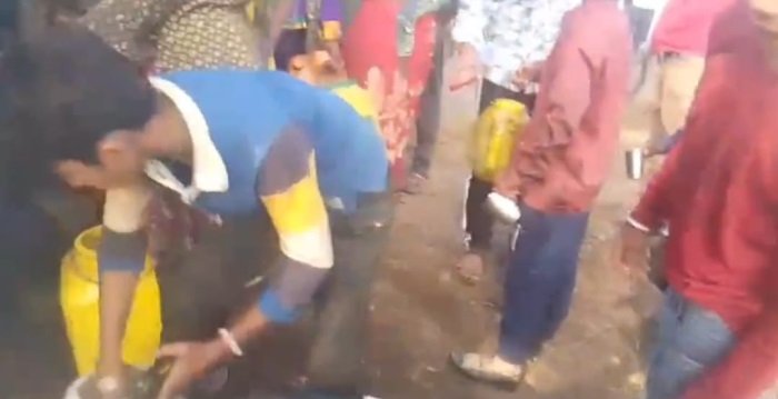 panna oil loot 23626