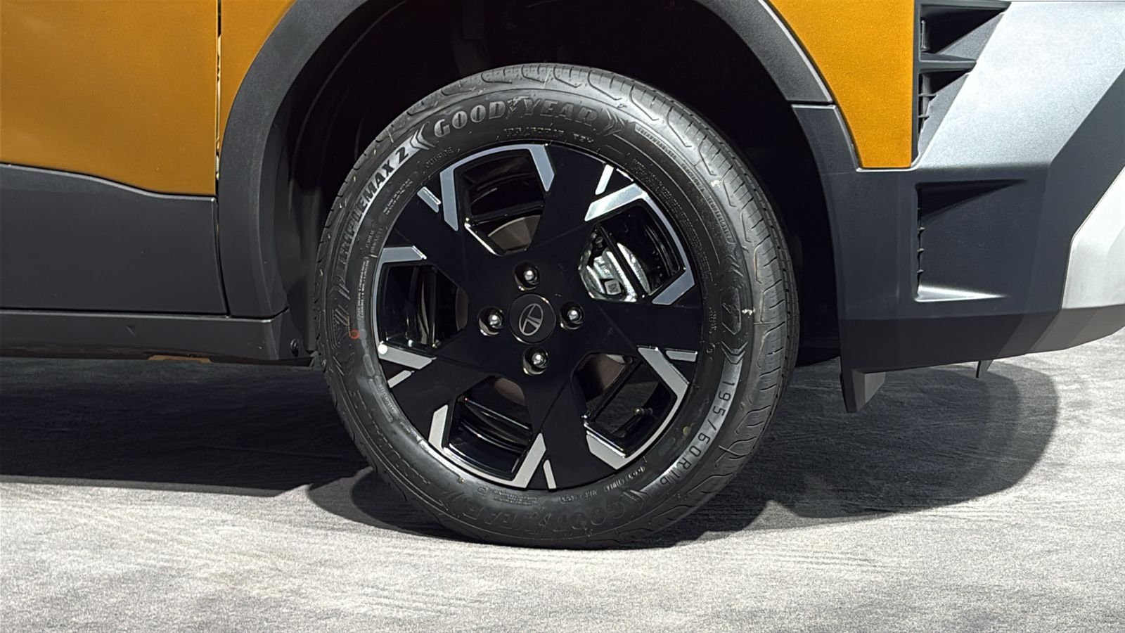 WhatsApp Image 2026-01-13 at 11.43.50 AM