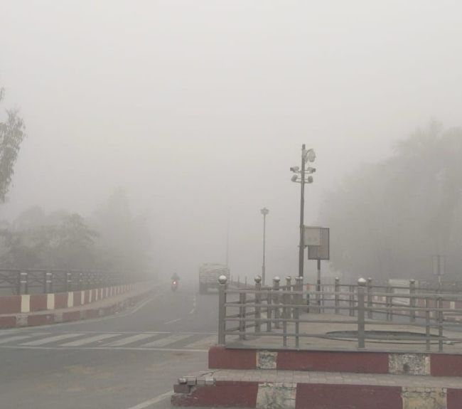 rampur fog small