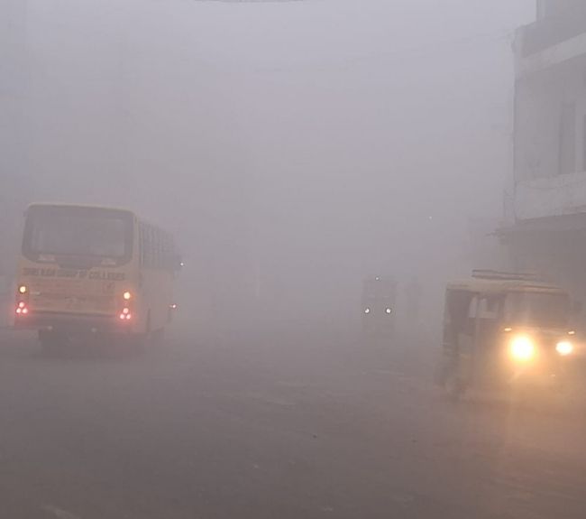 shamli fog
