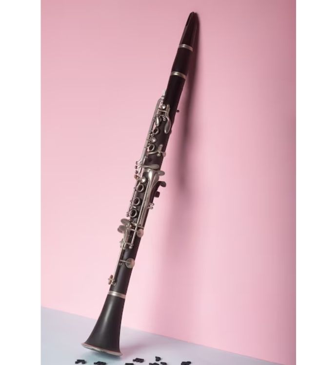 Clarinete (2)