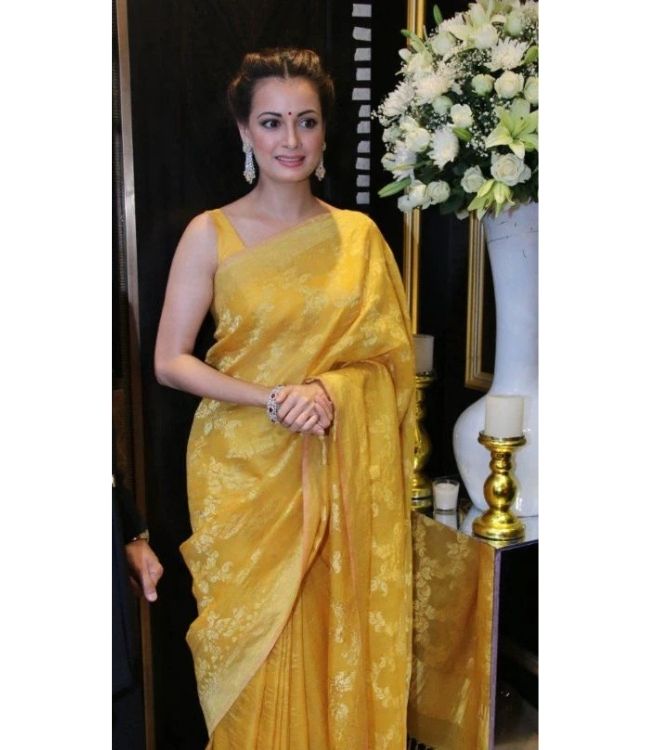 Dia Yellow Saree Look
