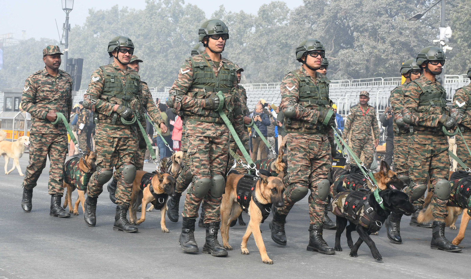 Republic day parade 6
