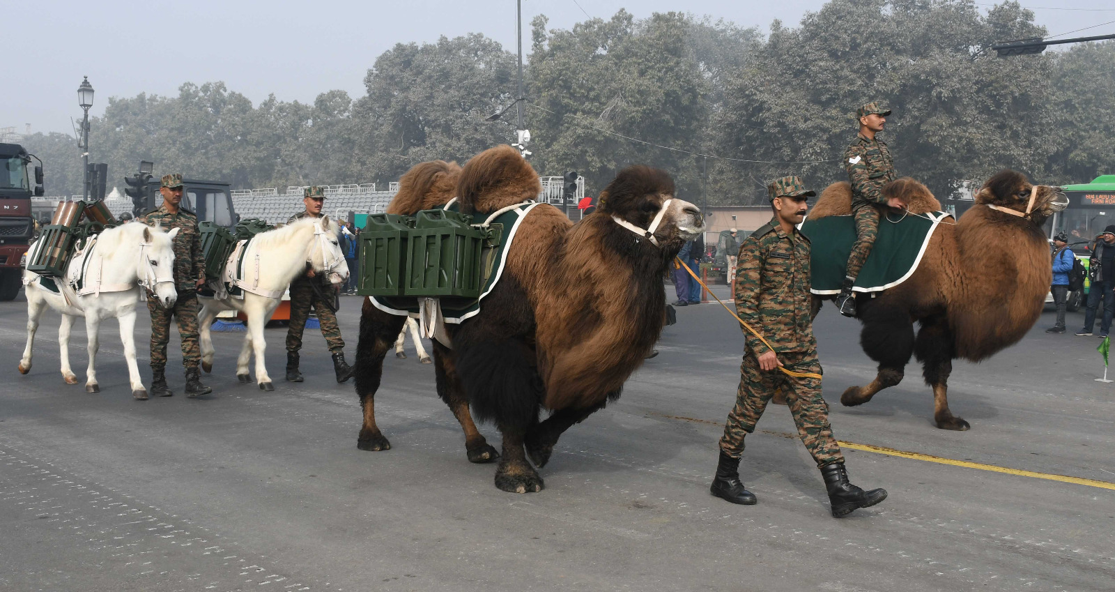 Republic day parade 8