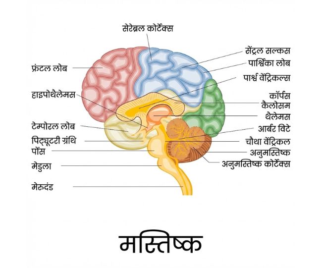 Why is my BP high with a healthy diet