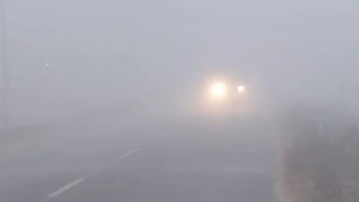 fogg