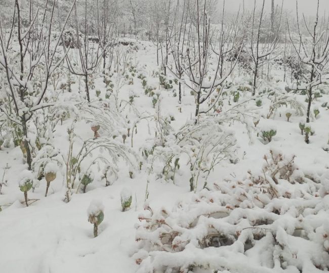 Chakrata Weather News