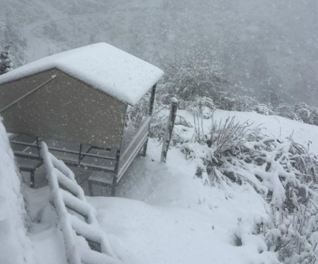 Fresh Snowfall Today