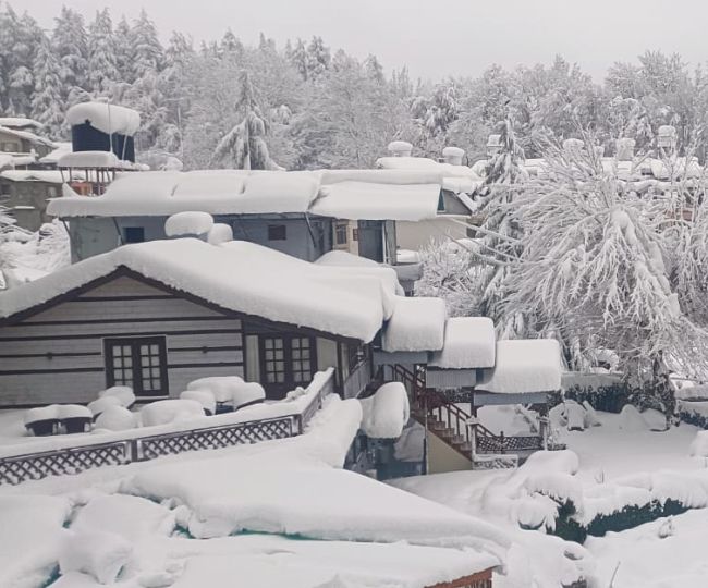 Manali snowfall 1