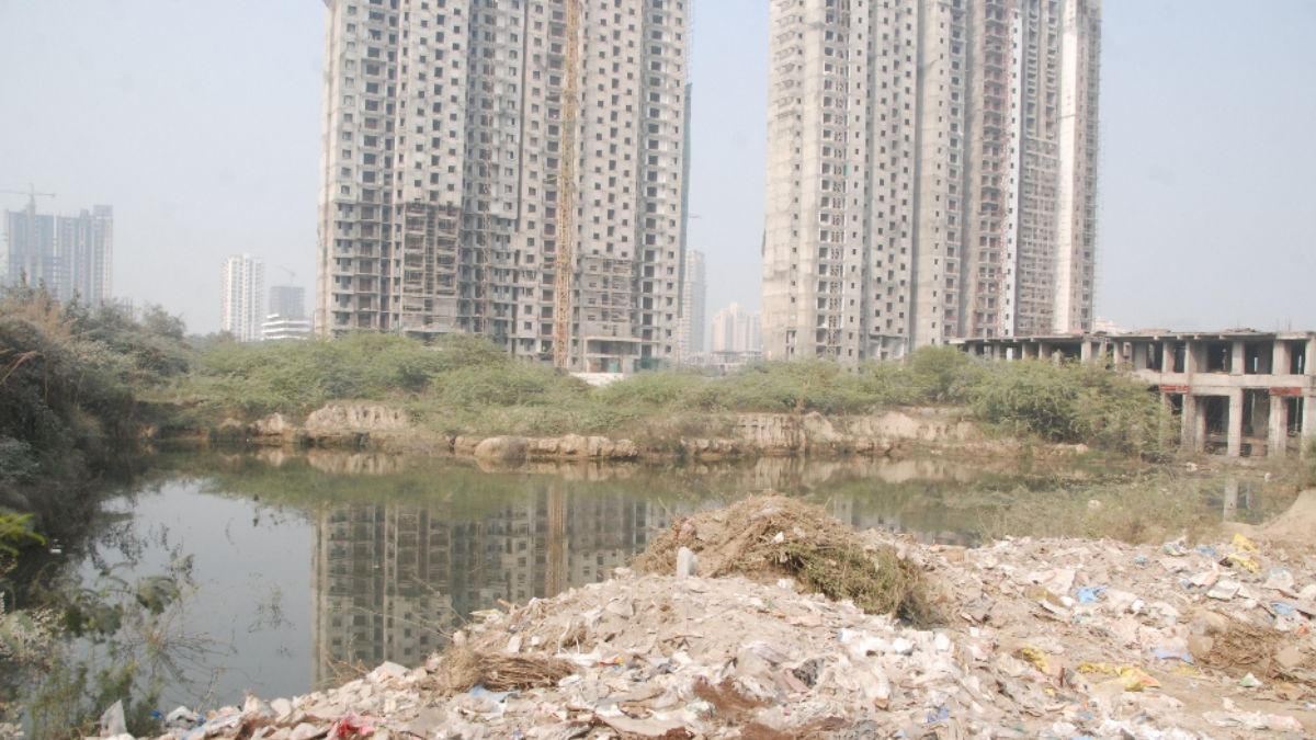 Noida Khabar (65)