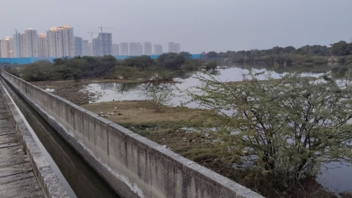Noida Khabar (66)