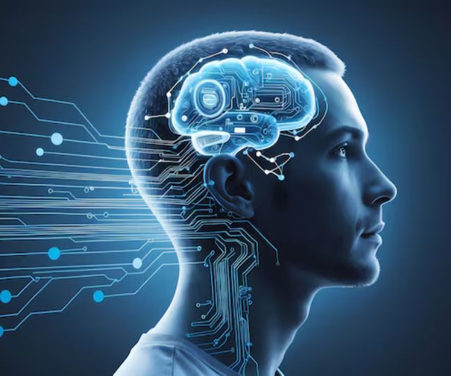 brain