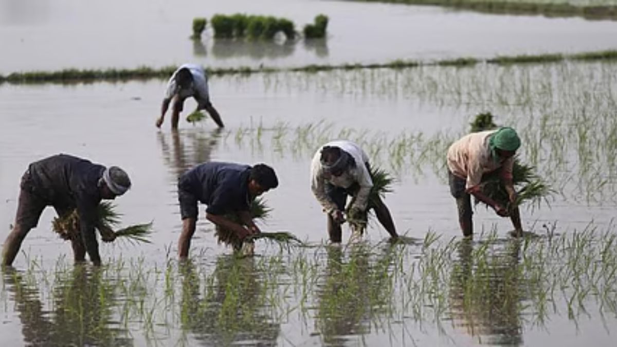 farmers seed act