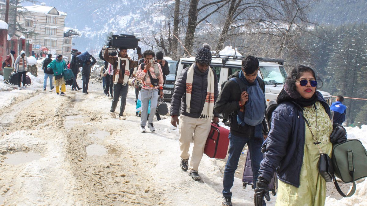 manali p