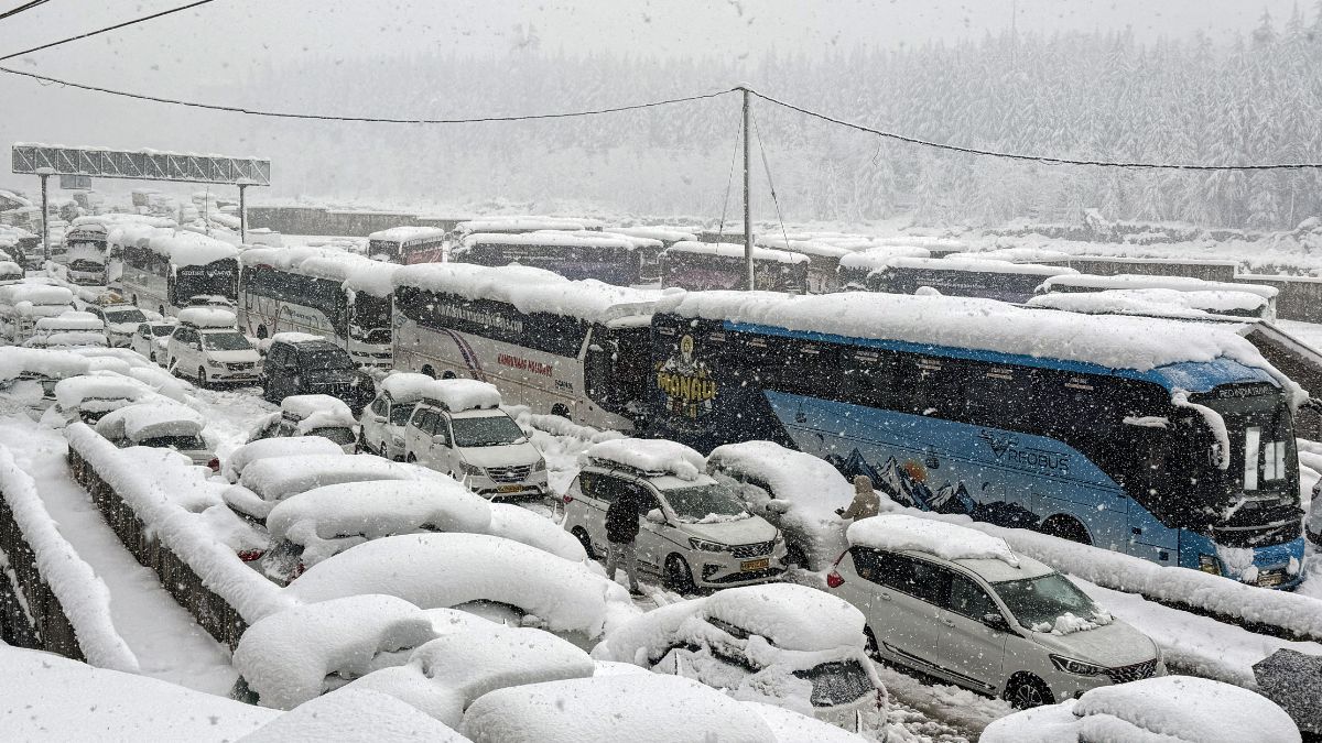 manali pp (1)