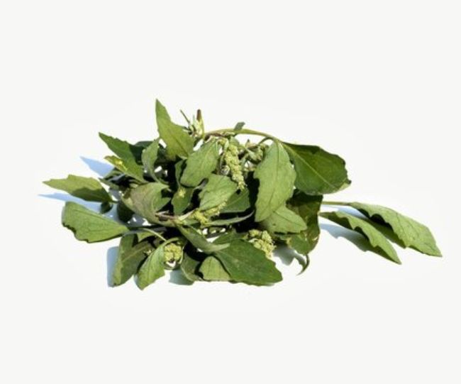 Bathua