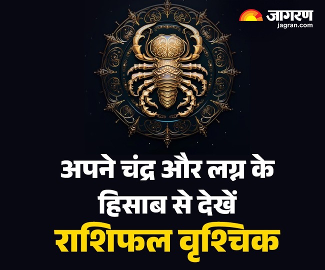 WhatsApp Image 2026-01-31 at 4.37.22 PM (2)