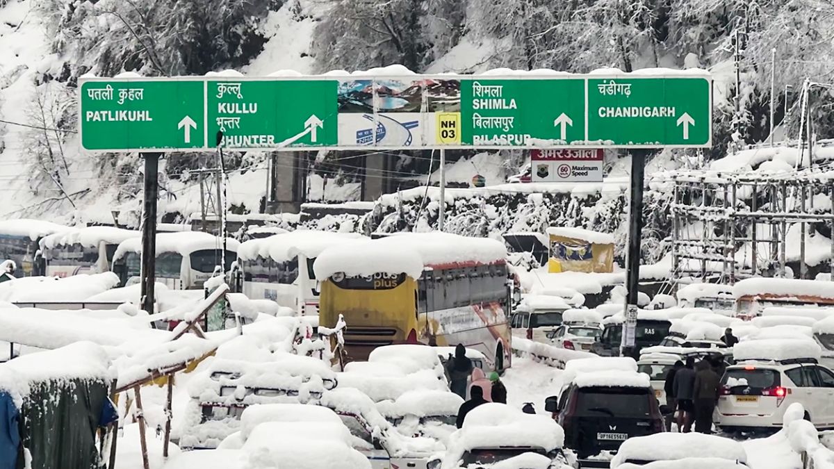 snowfall shimla