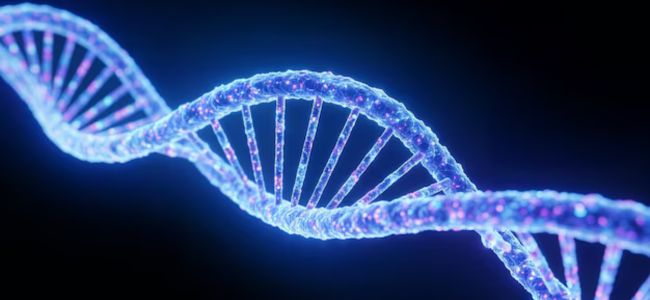 Genetics