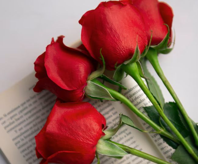 Rose day